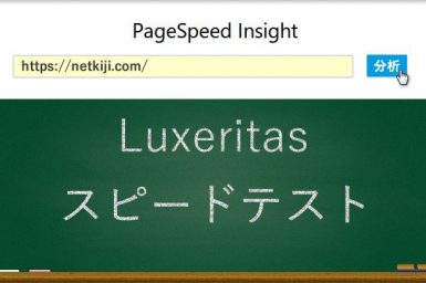 ルクセリタス高速化設定後のPageSpeed Insightsの結果