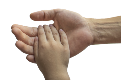 大人の手と子供の手