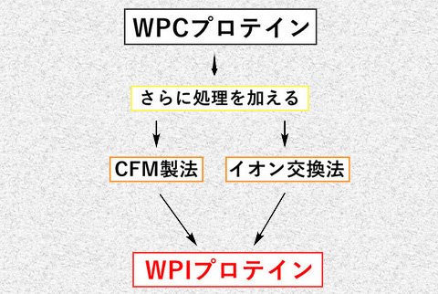 WPIプロテインが作られる工程の画像